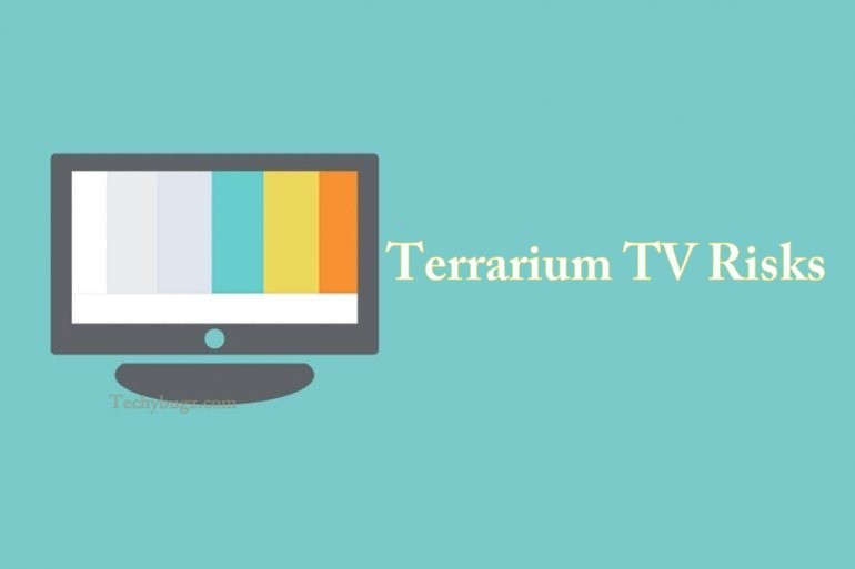 Terrarium TV Risks