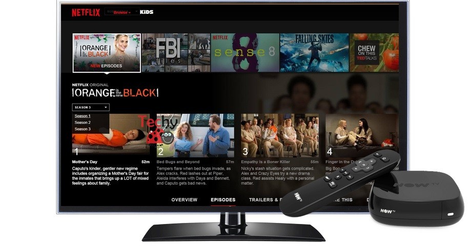 Netflix on Now TV Box